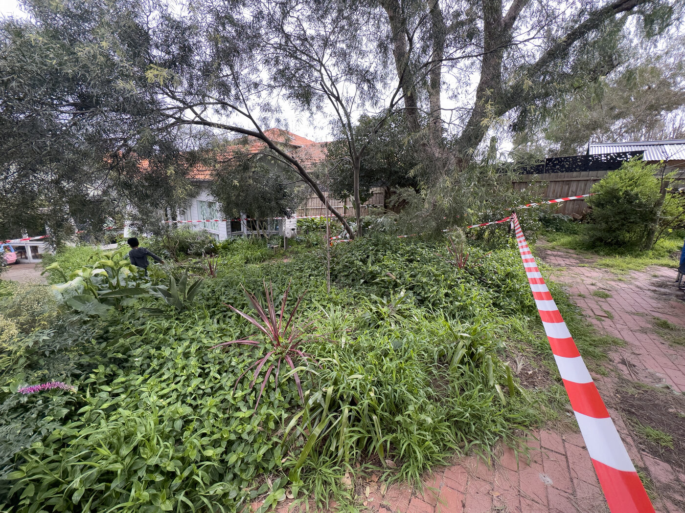 Backyard before excavation